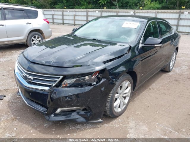 Photo 1 VIN: 1G11Z5S3XKU109259 - CHEVROLET IMPALA 