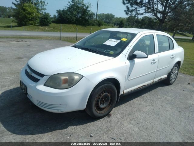 Photo 1 VIN: 1G1AD5F56A7131511 - CHEVROLET COBALT 