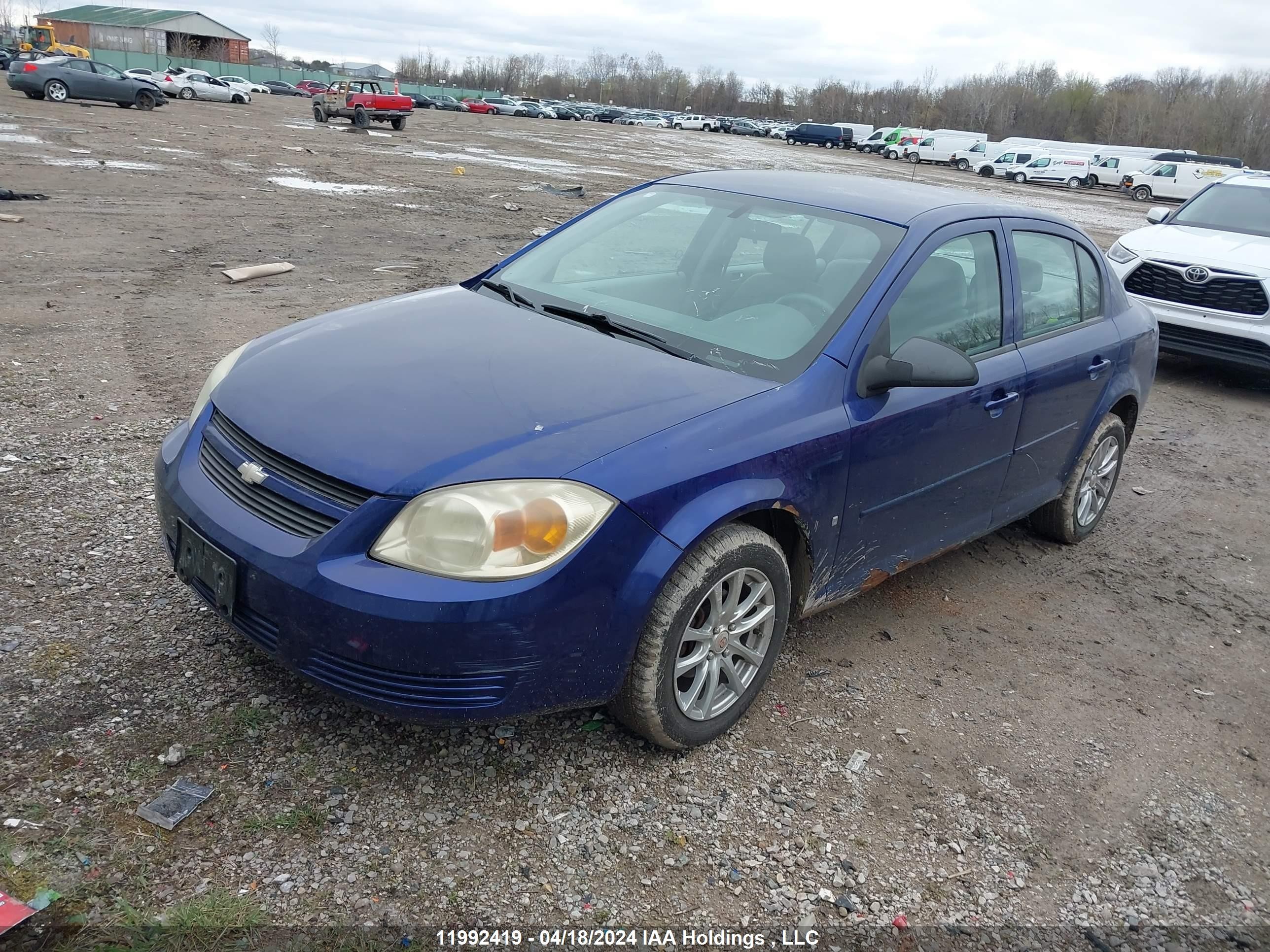 Photo 1 VIN: 1G1AJ55F967751294 - CHEVROLET COBALT 