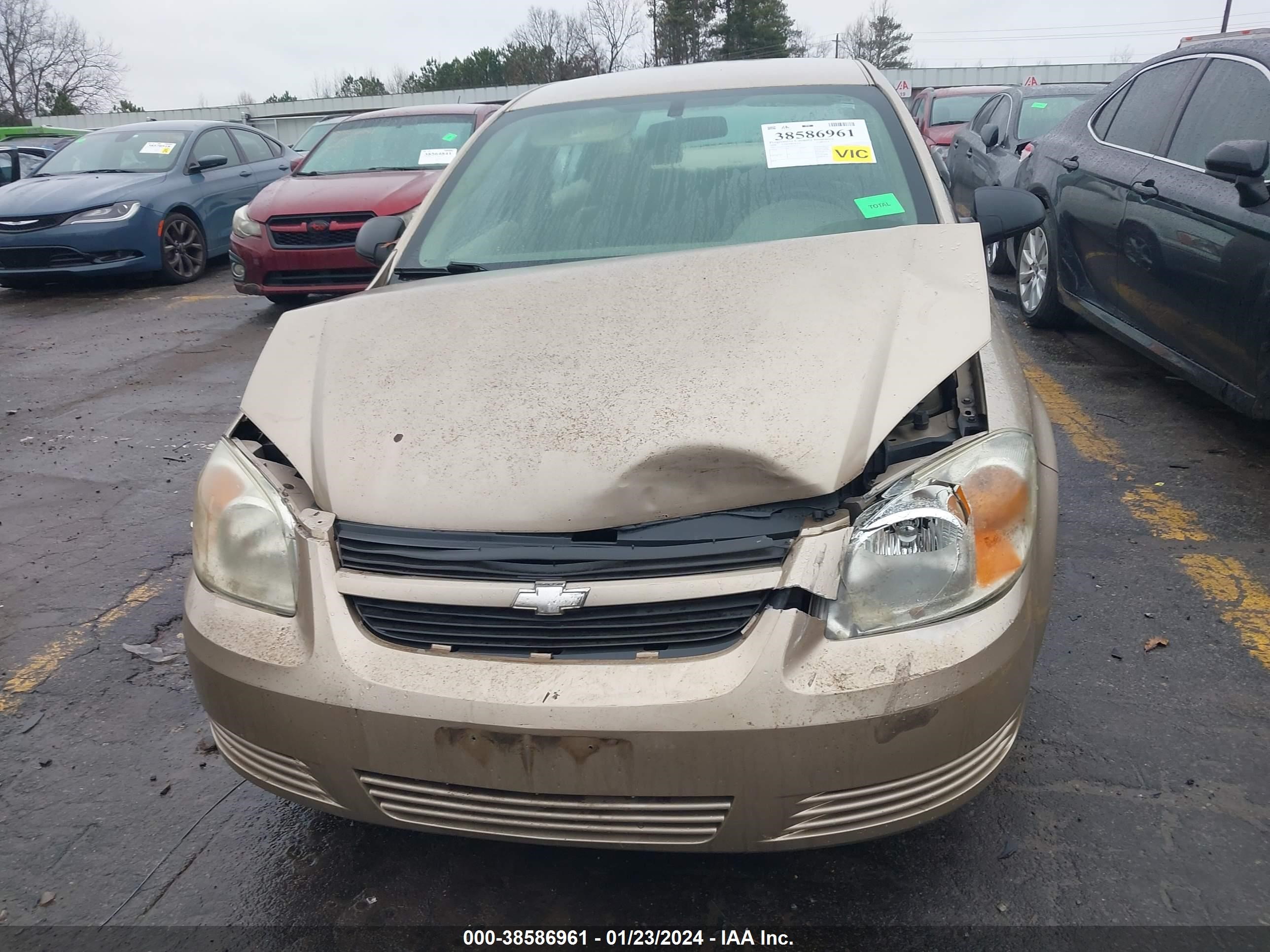 Photo 5 VIN: 1G1AK55F867857927 - CHEVROLET COBALT 