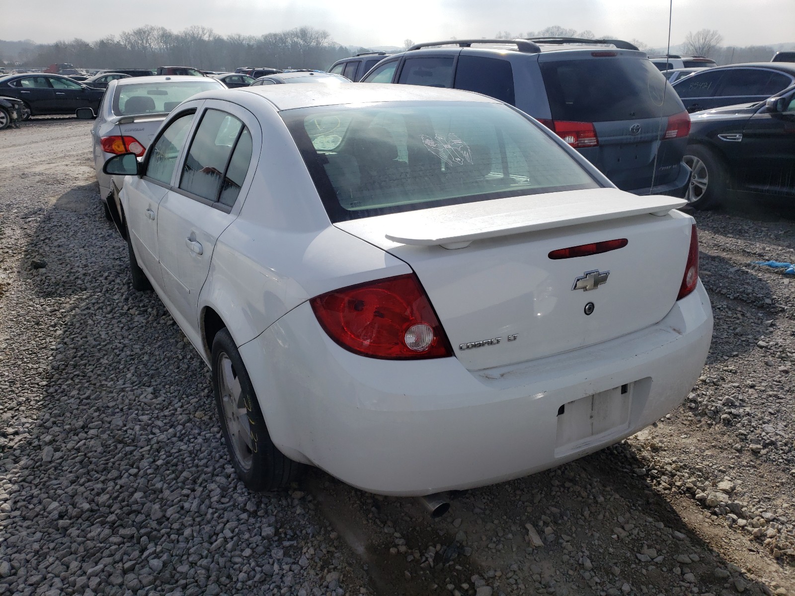 Photo 2 VIN: 1G1AL55F167656058 - CHEVROLET COBALT LT 