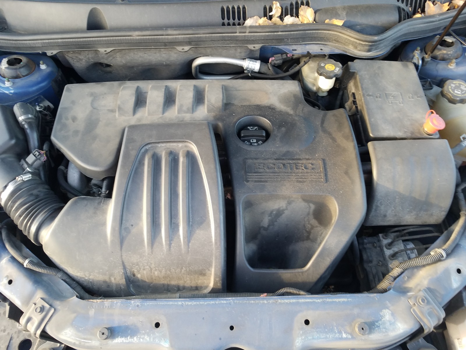 Photo 6 VIN: 1G1AL55F267612263 - CHEVROLET COBALT LT 