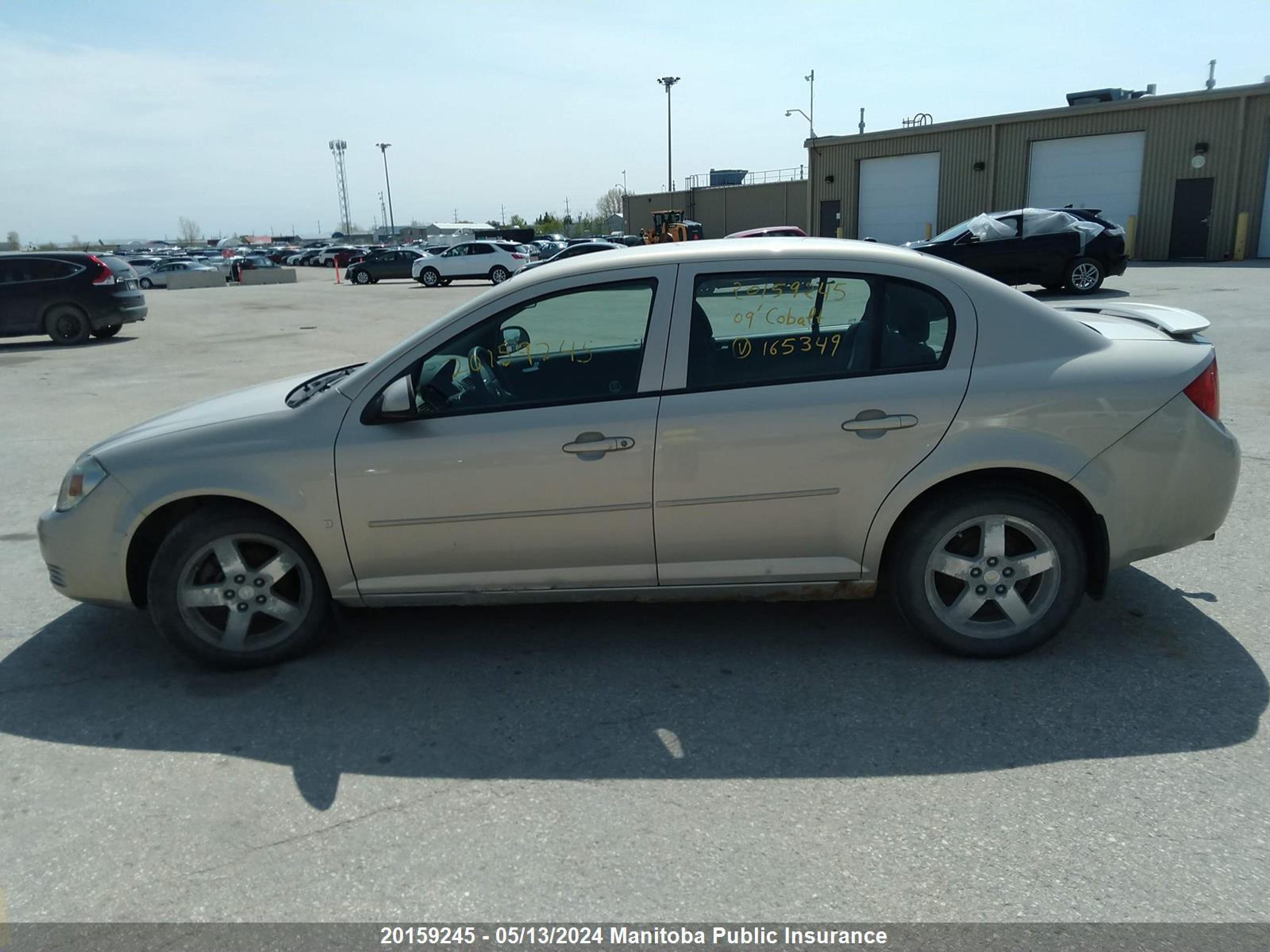 Photo 13 VIN: 1G1AL55H397165349 - CHEVROLET COBALT 