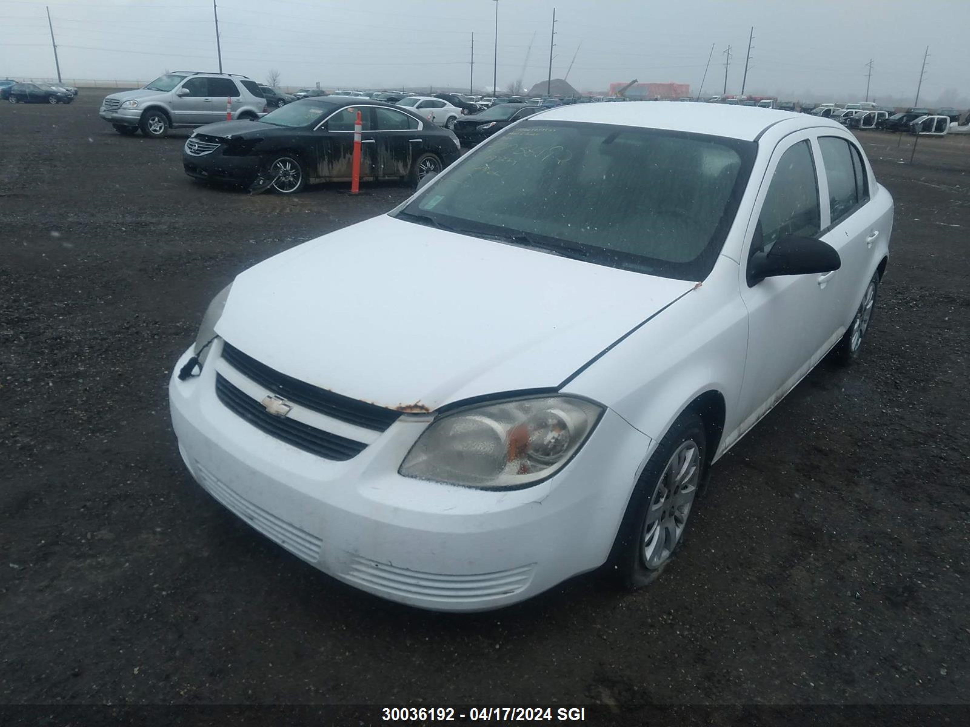 Photo 1 VIN: 1G1AR55H697195685 - CHEVROLET COBALT 