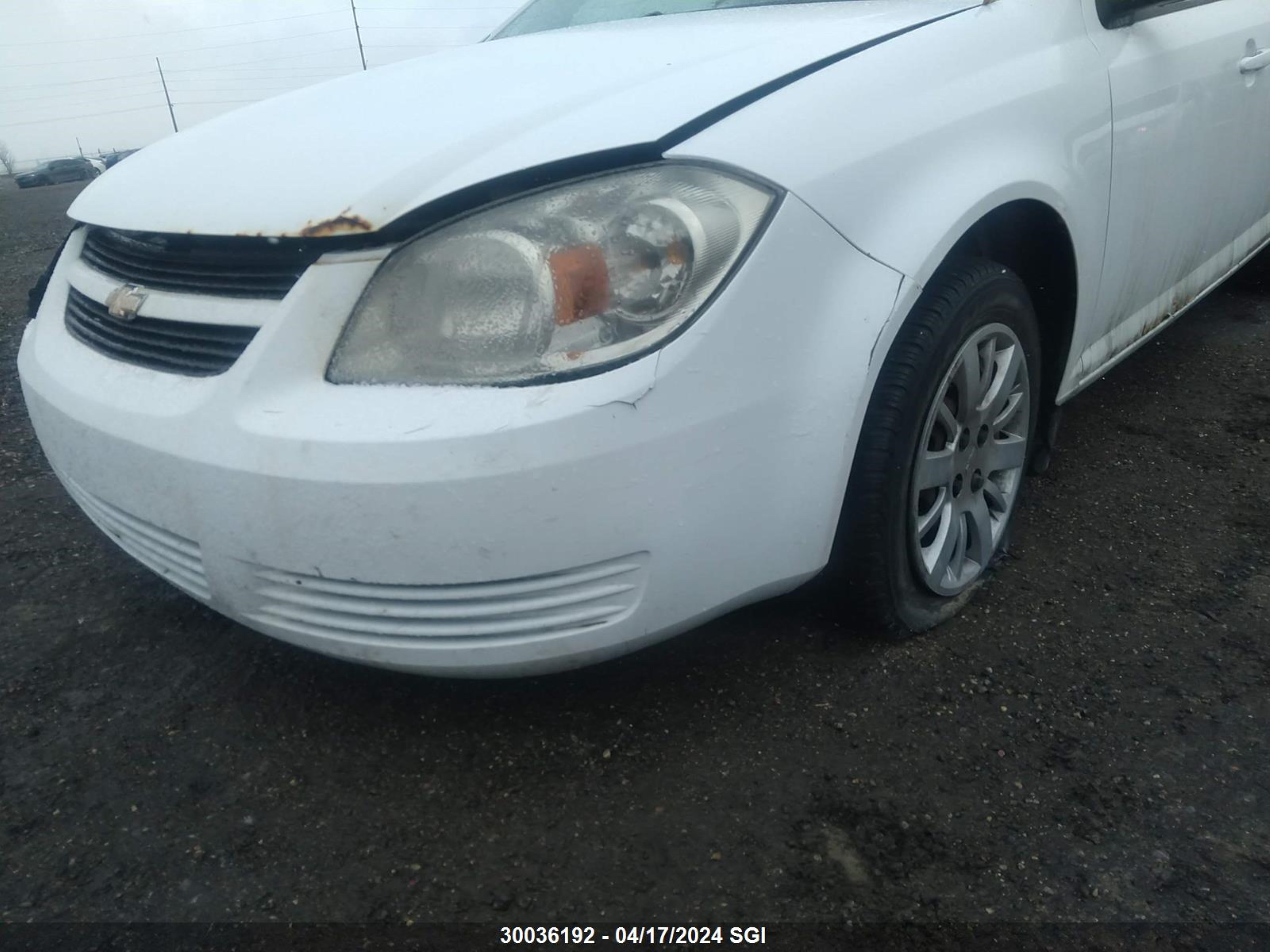 Photo 5 VIN: 1G1AR55H697195685 - CHEVROLET COBALT 