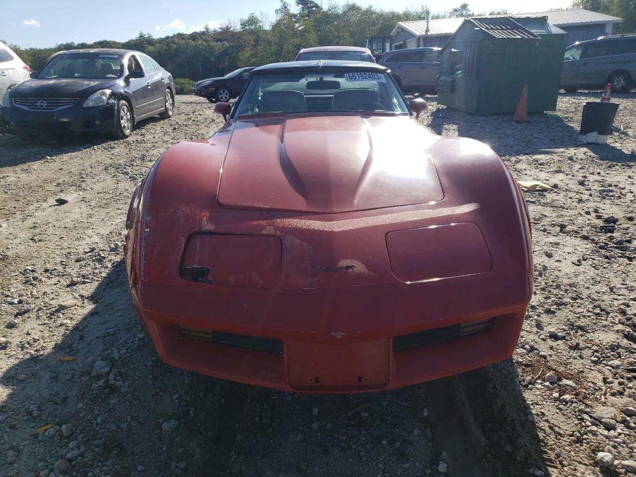 Photo 4 VIN: 1G1AY8767BS429769 - CHEVROLET CORVETTE 