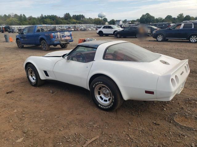 Photo 1 VIN: 1G1AY8769BS428669 - CHEVROLET CORVETTE 