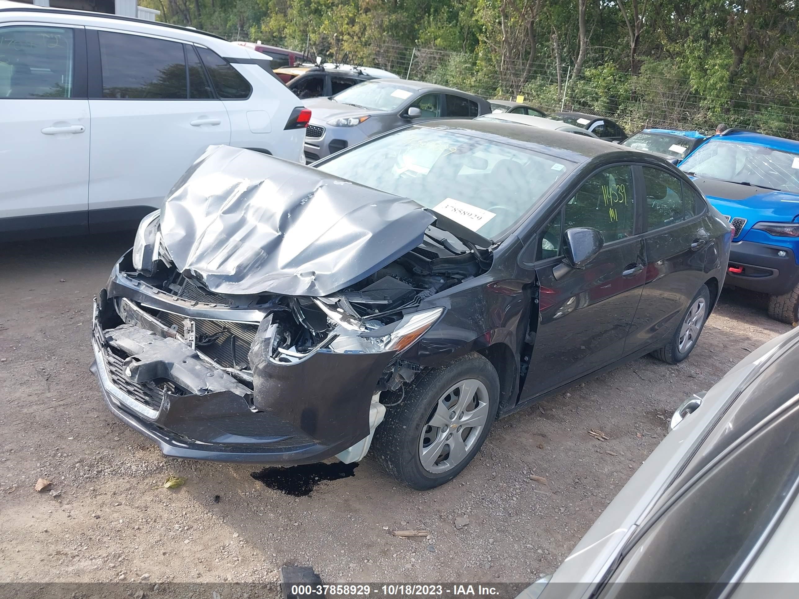 Photo 1 VIN: 1G1BC5SM5G7284555 - CHEVROLET CRUZE 