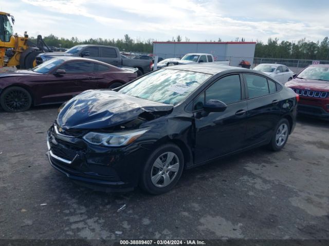 Photo 1 VIN: 1G1BC5SM5H7143650 - CHEVROLET CRUZE 