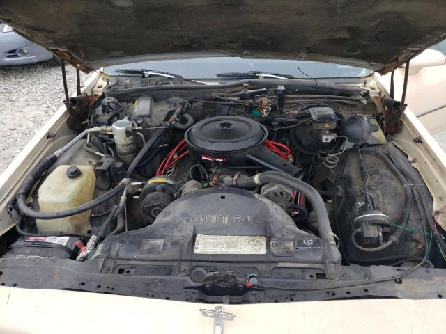 Photo 10 VIN: 1G1BL51E1KR165893 - CHEVROLET CAPRICE 