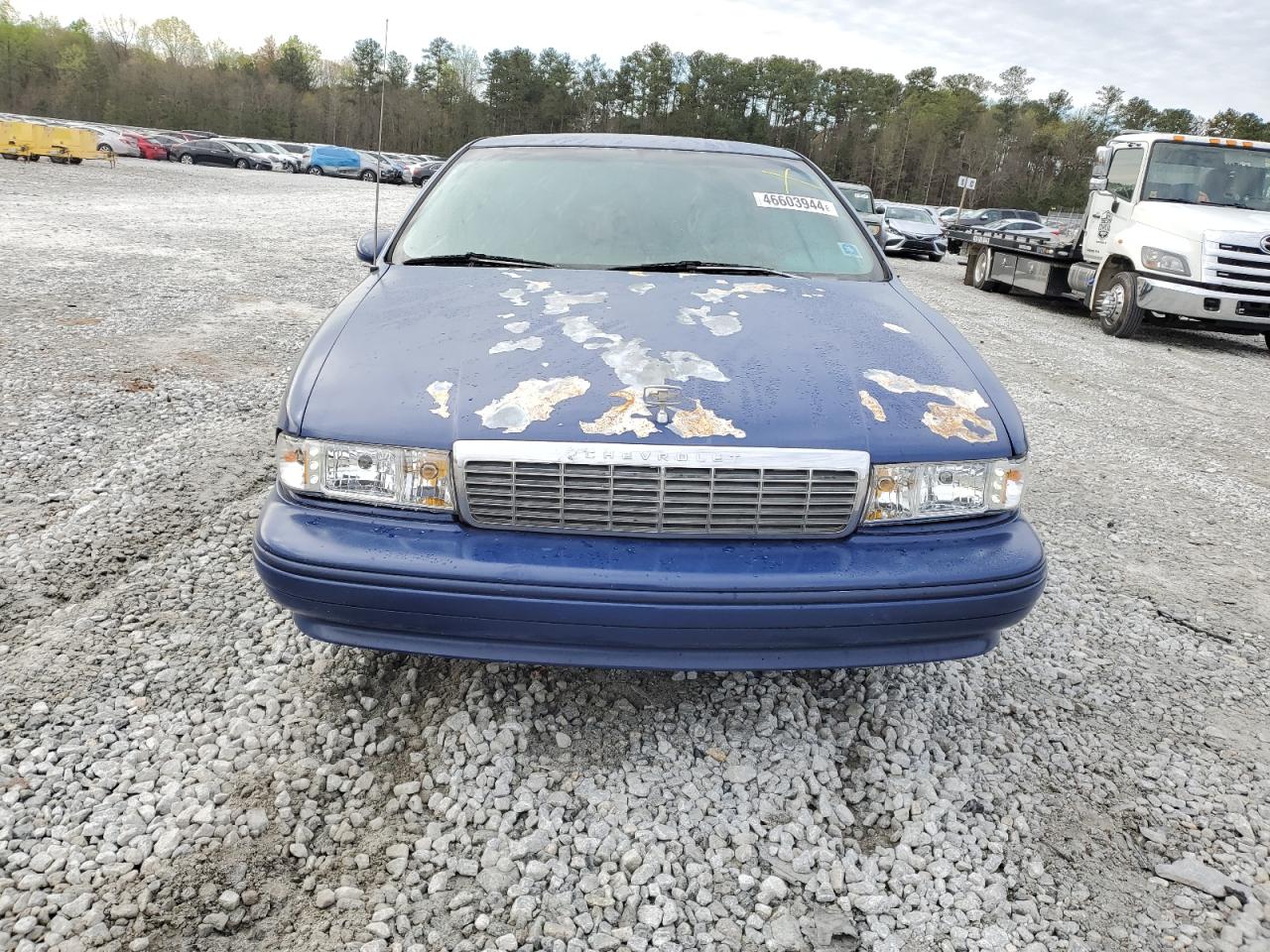 Photo 4 VIN: 1G1BL52W0RR116833 - CHEVROLET CAPRICE 