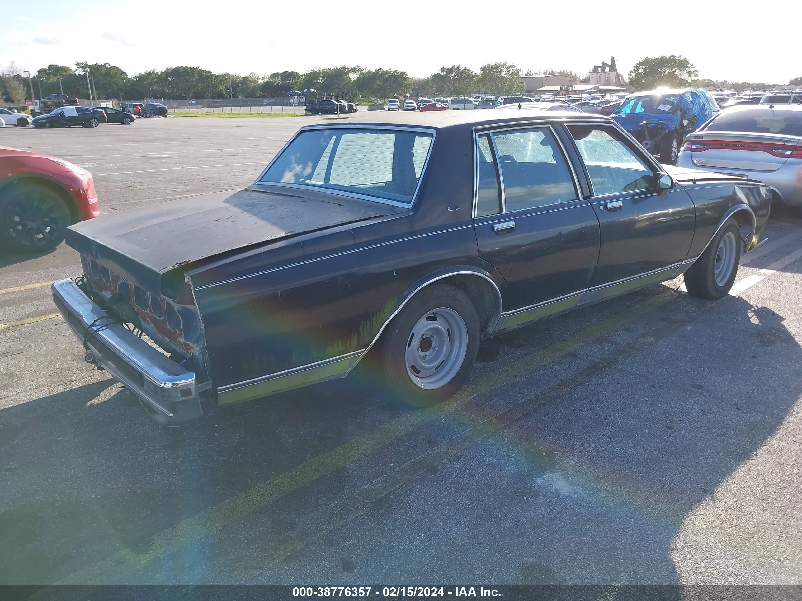 Photo 3 VIN: 1G1BN51E1KR158775 - CHEVROLET CAPRICE 