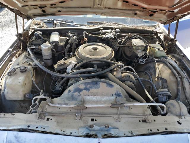 Photo 10 VIN: 1G1BN51H3HA159606 - CHEVROLET CAPRICE 