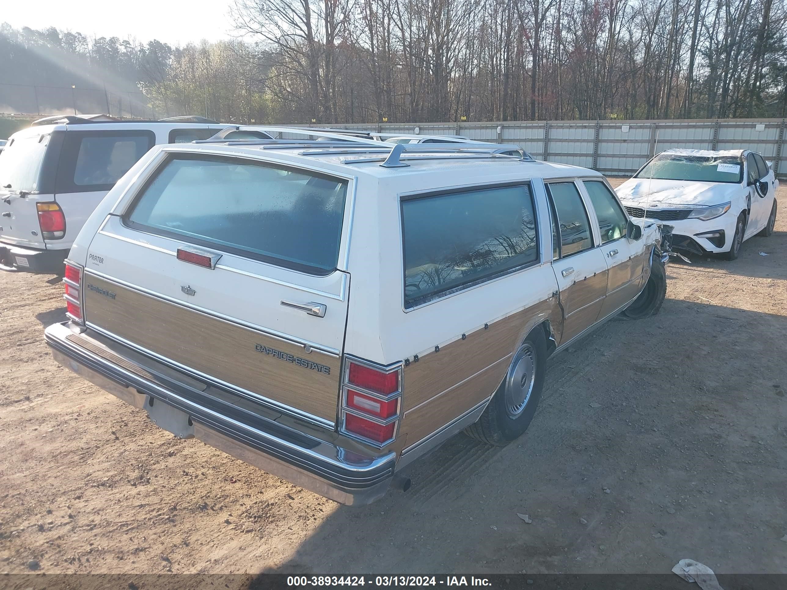 Photo 3 VIN: 1G1BN81Y5JR171359 - CHEVROLET CAPRICE 