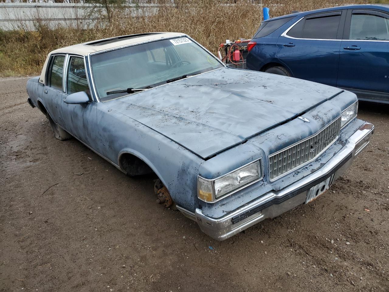 Photo 3 VIN: 1G1BU51E5KR121991 - CHEVROLET CAPRICE 