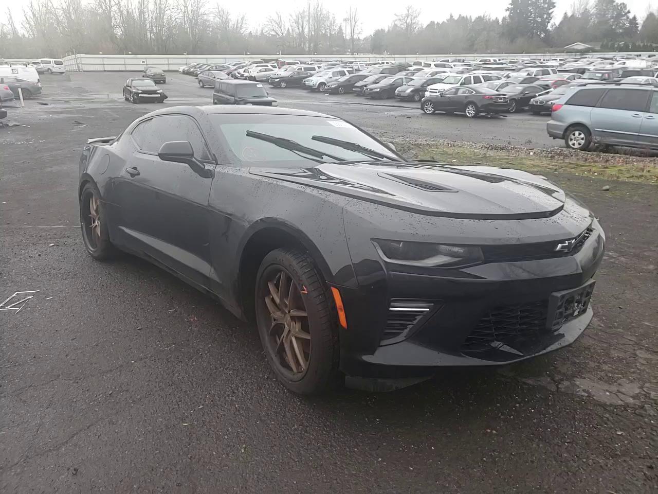 Photo 10 VIN: 1G1FH1R73G0185995 - CHEVROLET CAMARO SS 