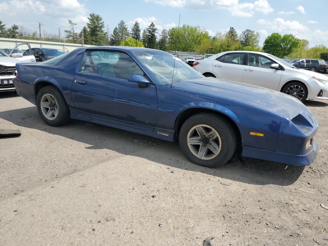 Photo 3 VIN: 1G1FP21S1KL202504 - CHEVROLET CAMARO 