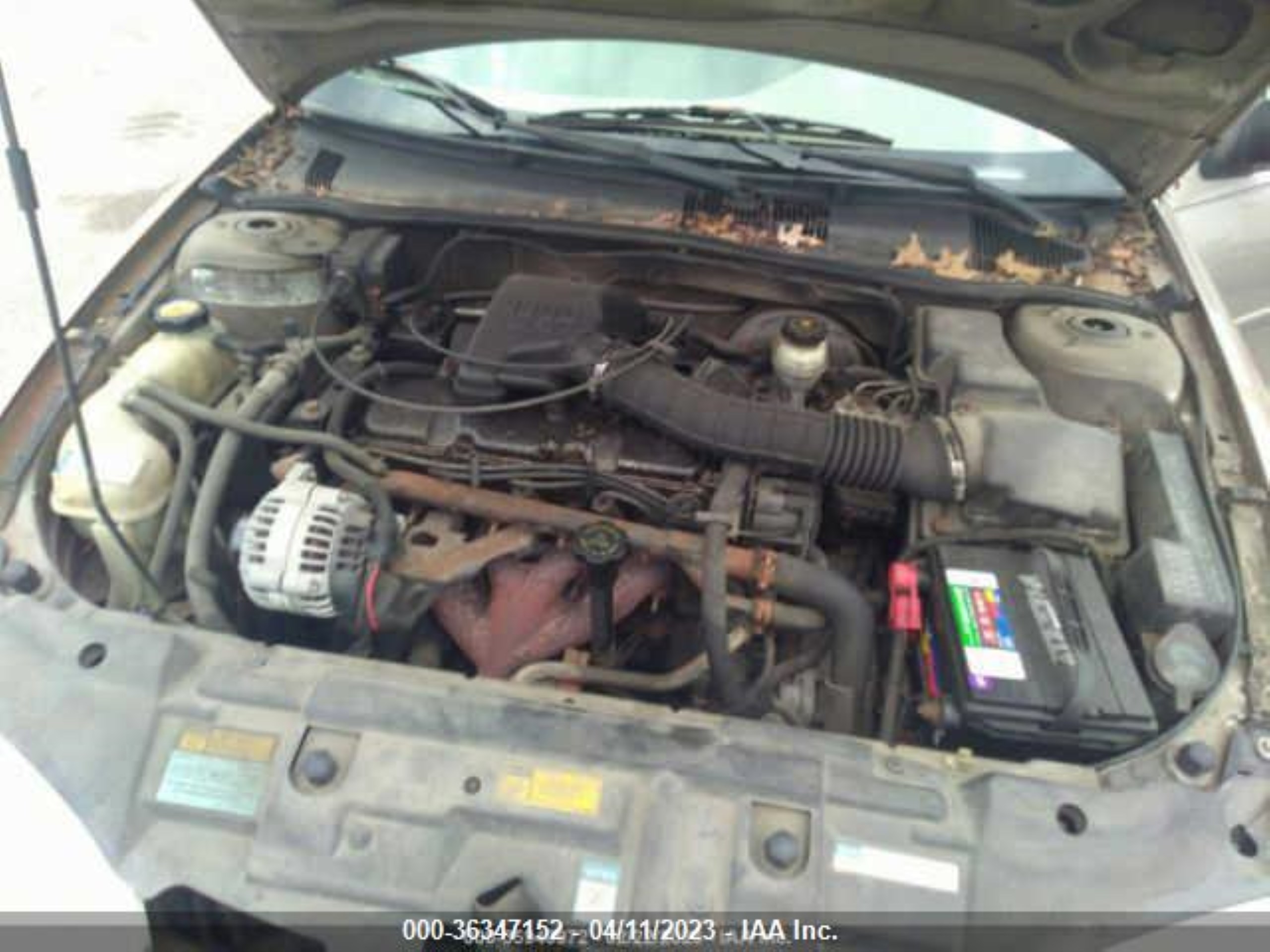 Photo 9 VIN: 1G1JC1249Y7199885 - CHEVROLET CAVALIER 