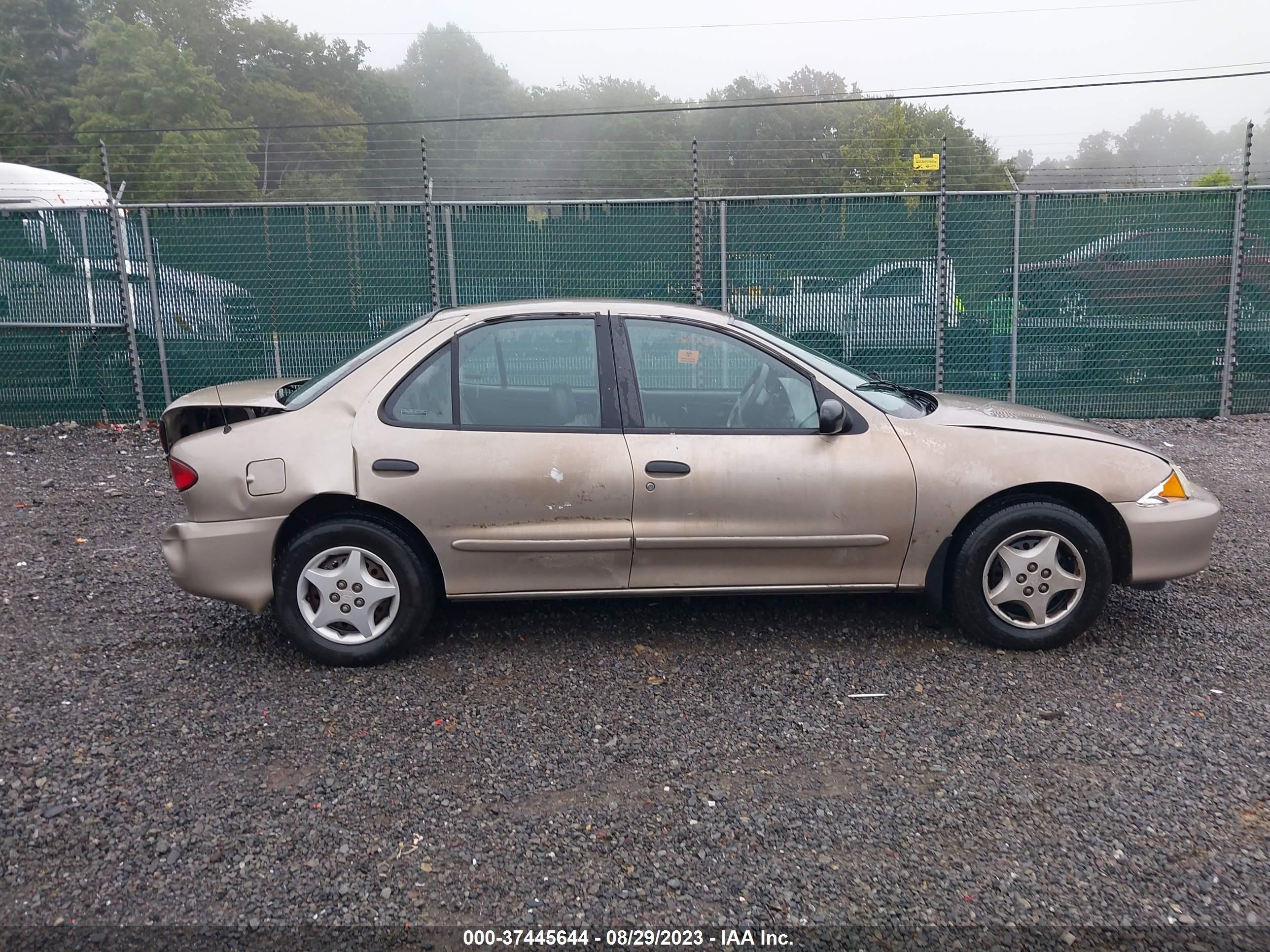 Photo 11 VIN: 1G1JC524127130025 - CHEVROLET CAVALIER 