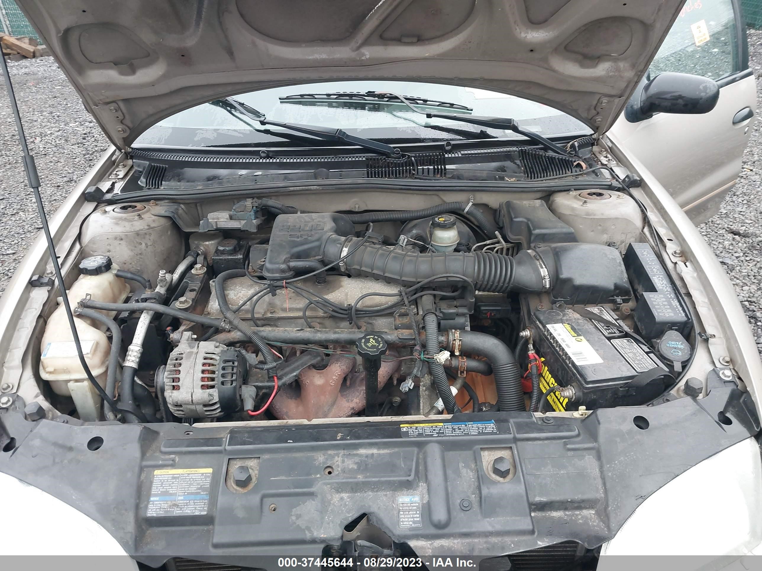 Photo 9 VIN: 1G1JC524127130025 - CHEVROLET CAVALIER 