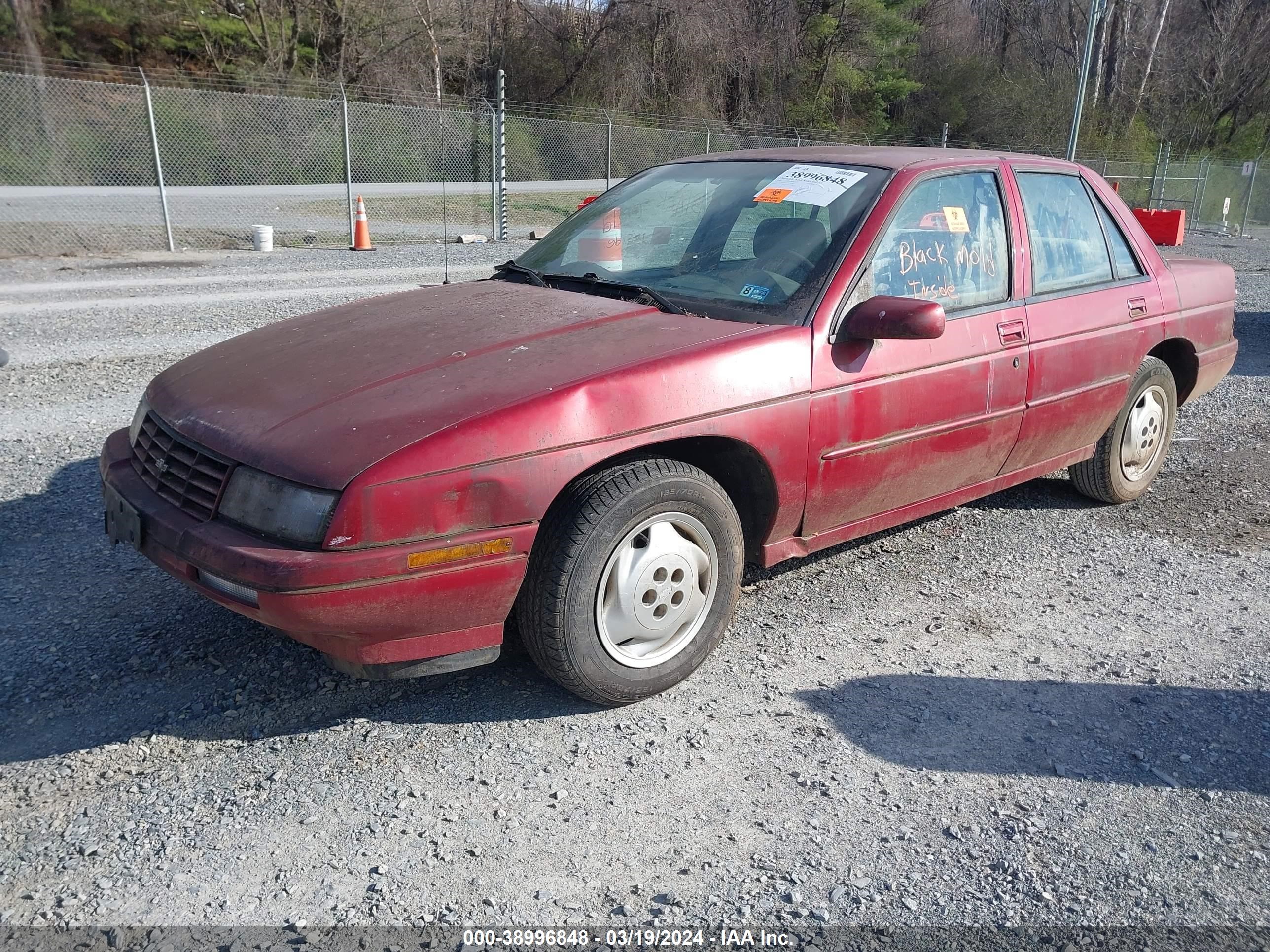 Photo 1 VIN: 1G1LD55M5TY125388 - CHEVROLET CORSICA 