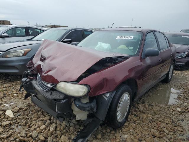 Photo 1 VIN: 1G1ND52J116135587 - CHEVROLET MALIBU 