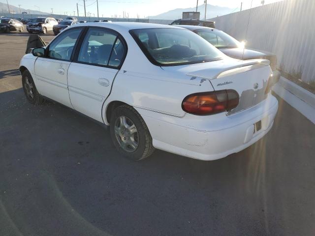 Photo 1 VIN: 1G1ND52J12M513596 - CHEVROLET MALIBU 