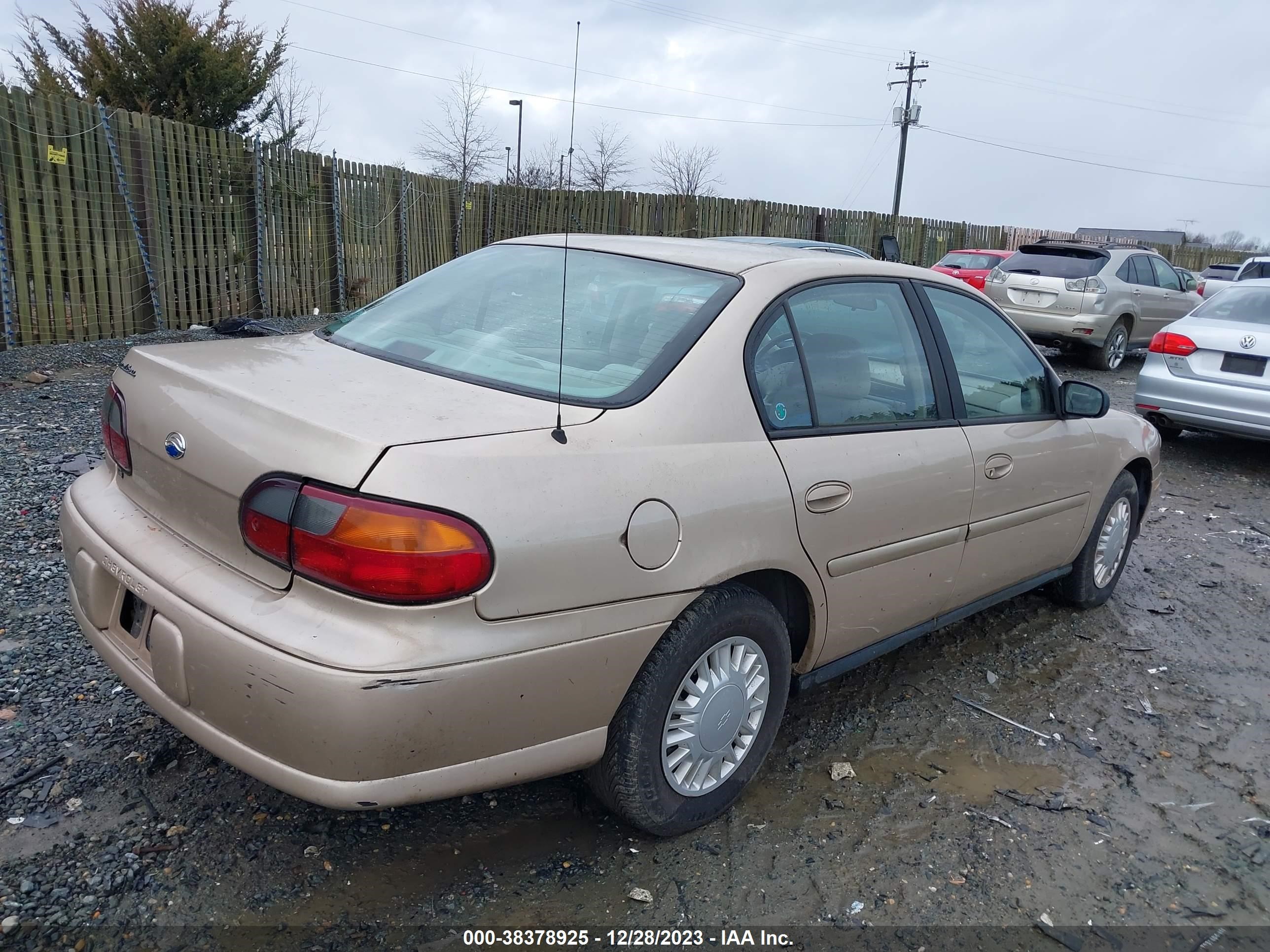 Photo 3 VIN: 1G1ND52J12M707724 - CHEVROLET MALIBU 