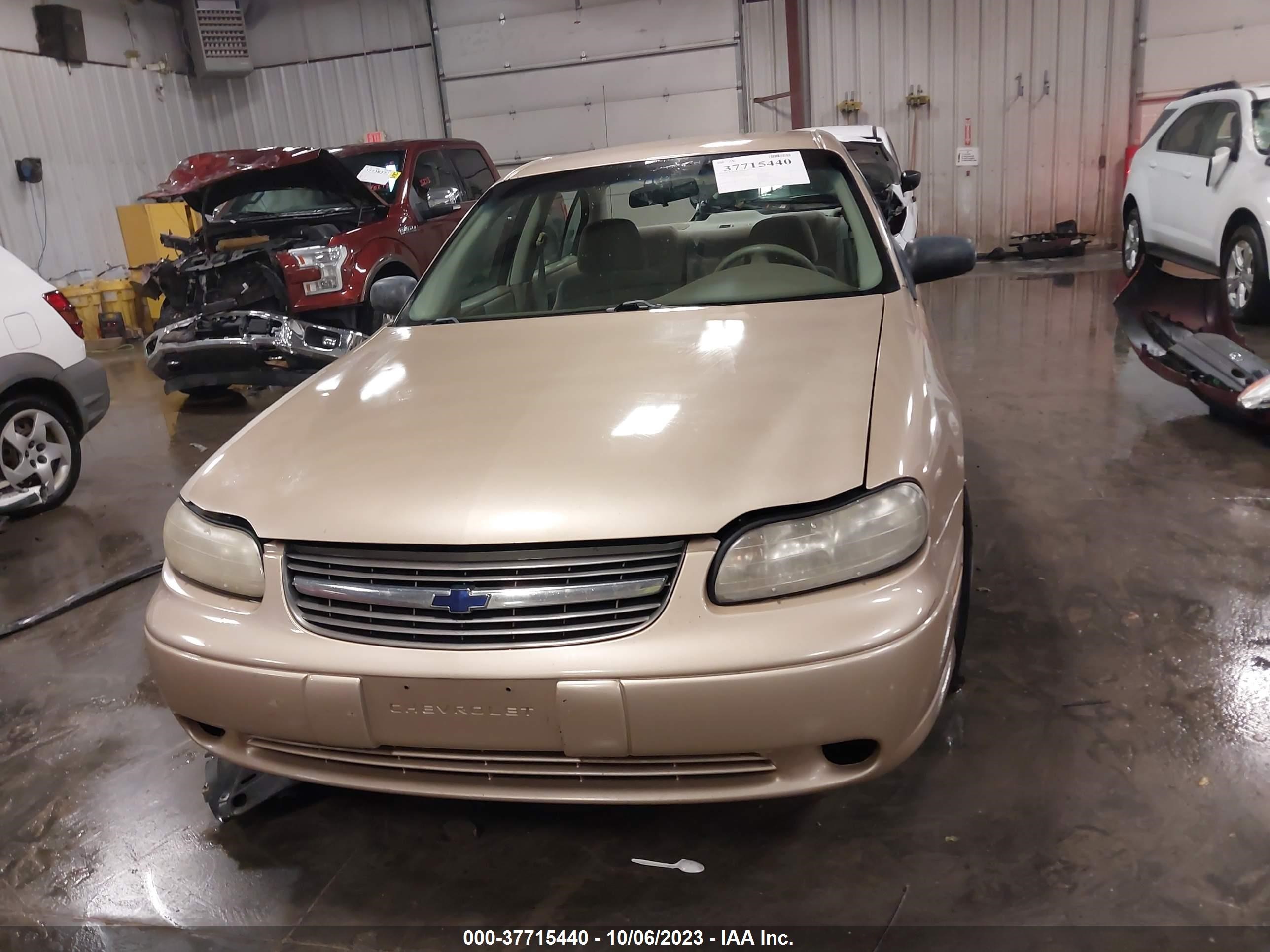 Photo 11 VIN: 1G1ND52J13M510506 - CHEVROLET MALIBU 