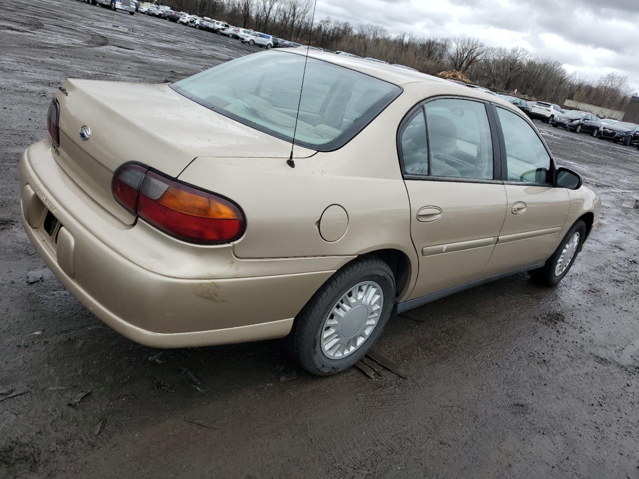 Photo 2 VIN: 1G1ND52J316140905 - CHEVROLET MALIBU 