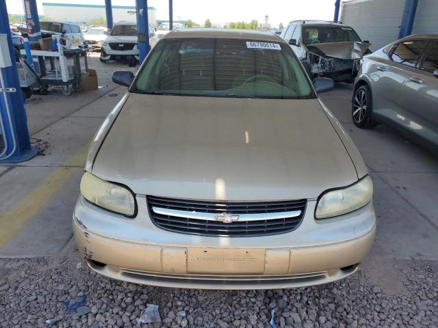 Photo 4 VIN: 1G1ND52J316273096 - CHEVROLET MALIBU 