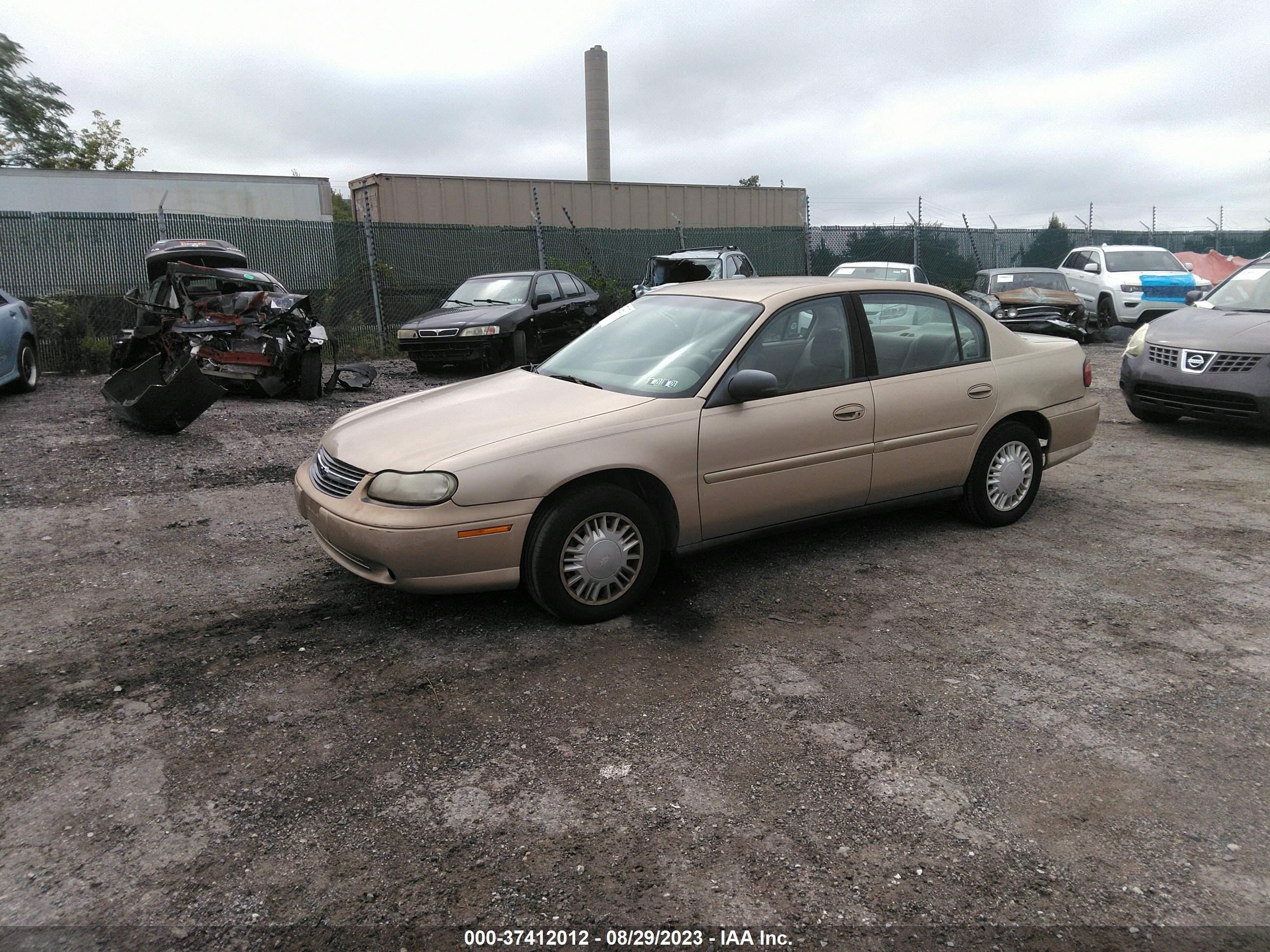 Photo 1 VIN: 1G1ND52J32M559818 - CHEVROLET MALIBU 