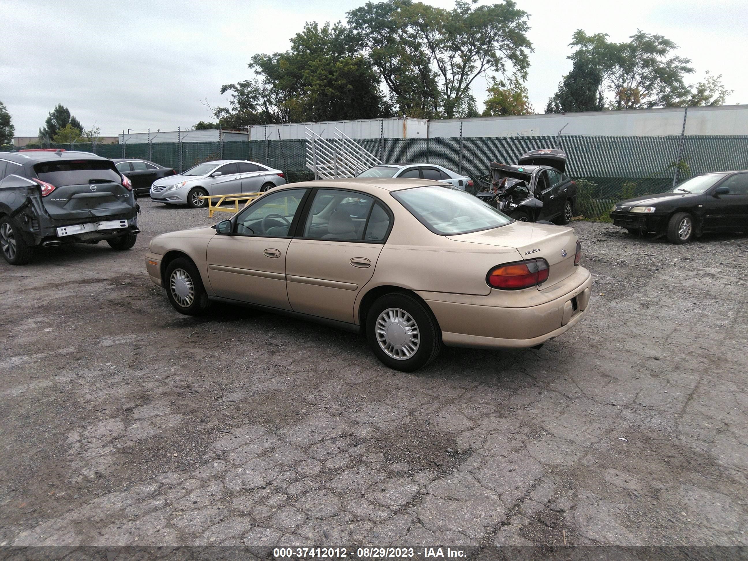 Photo 2 VIN: 1G1ND52J32M559818 - CHEVROLET MALIBU 