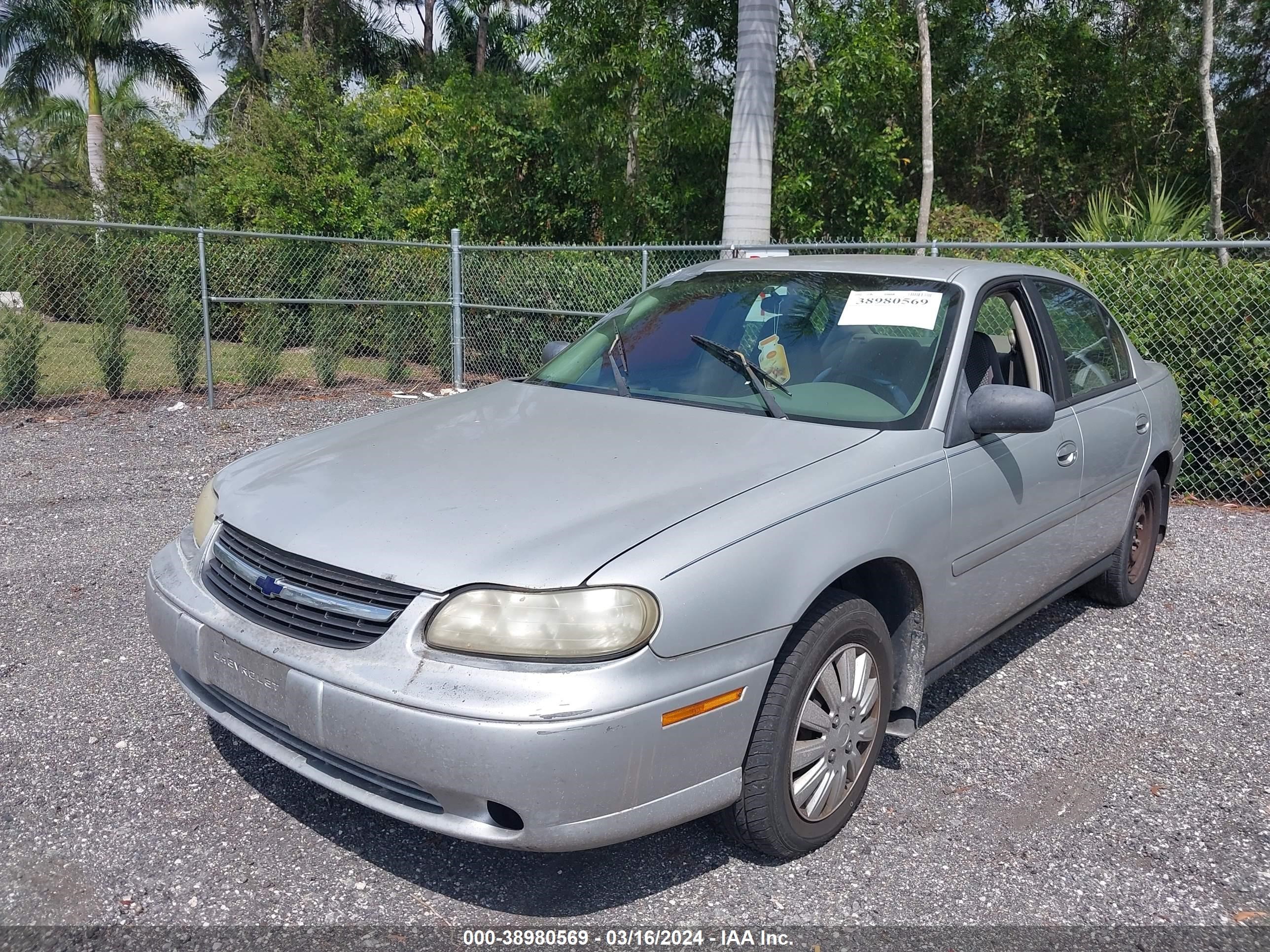 Photo 1 VIN: 1G1ND52J516255506 - CHEVROLET MALIBU 