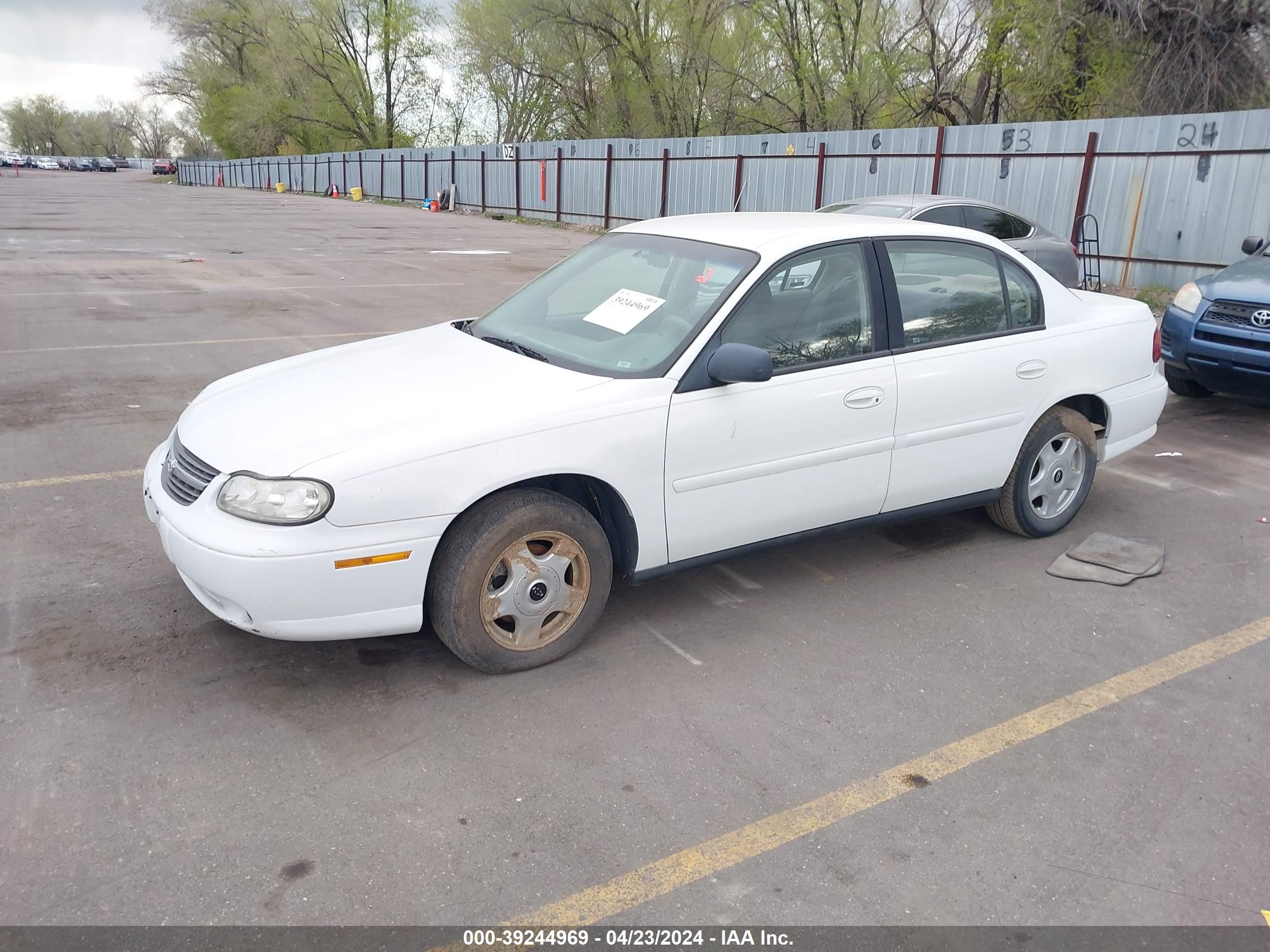 Photo 1 VIN: 1G1ND52J52M501483 - CHEVROLET MALIBU 