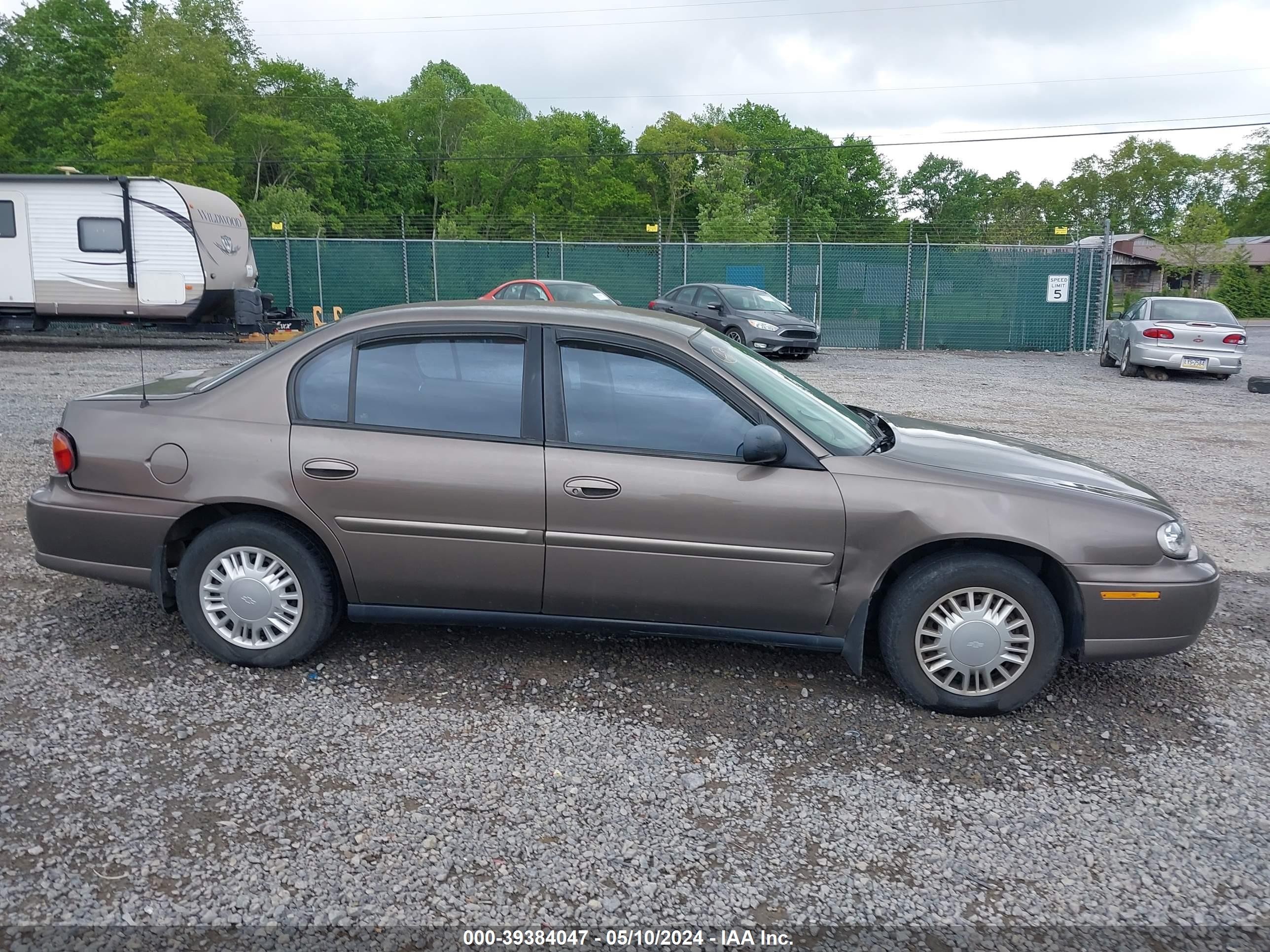 Photo 12 VIN: 1G1ND52J82M710684 - CHEVROLET MALIBU 