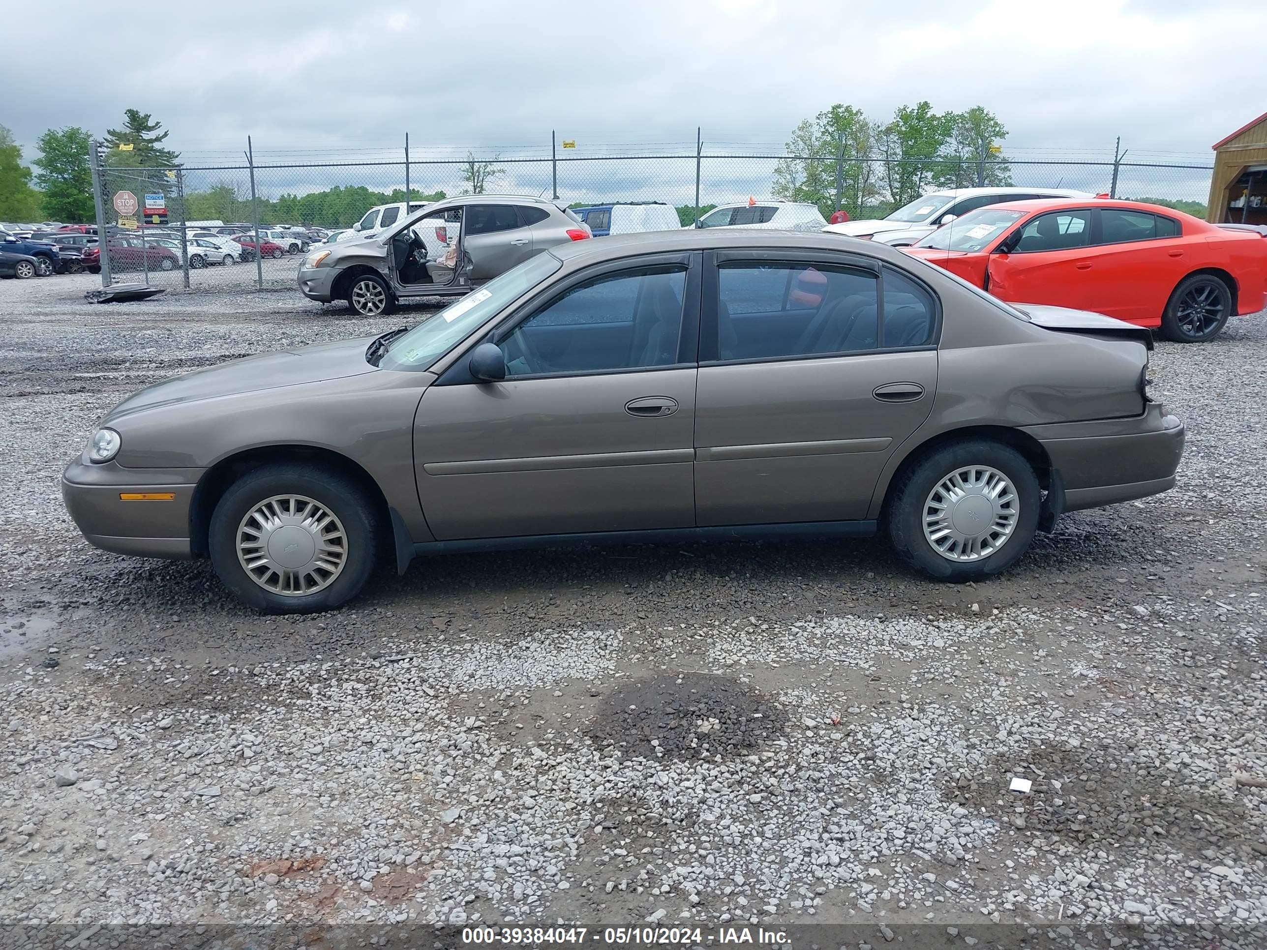 Photo 13 VIN: 1G1ND52J82M710684 - CHEVROLET MALIBU 