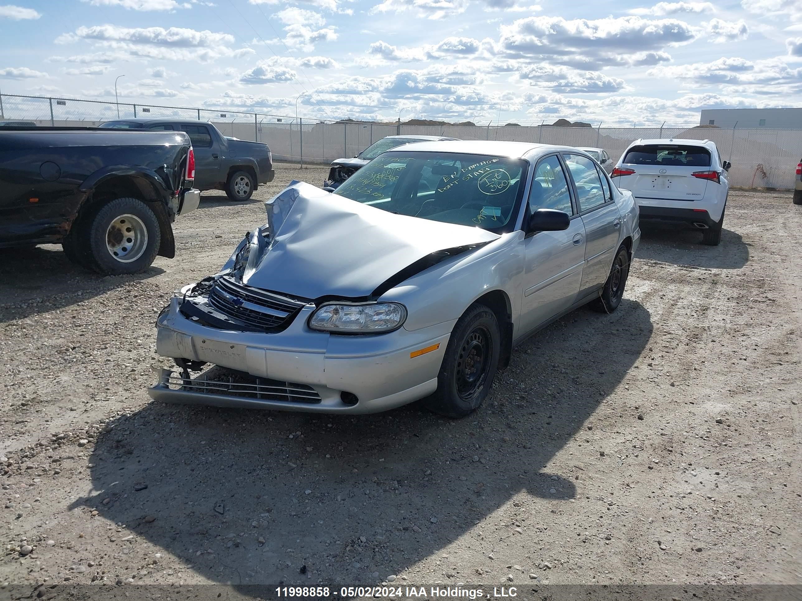 Photo 1 VIN: 1G1ND52J83M531658 - CHEVROLET MALIBU 