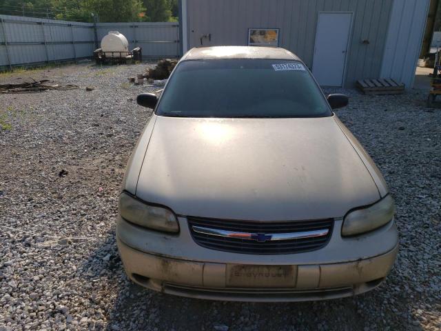 Photo 4 VIN: 1G1ND52J92M507660 - CHEVROLET MALIBU 