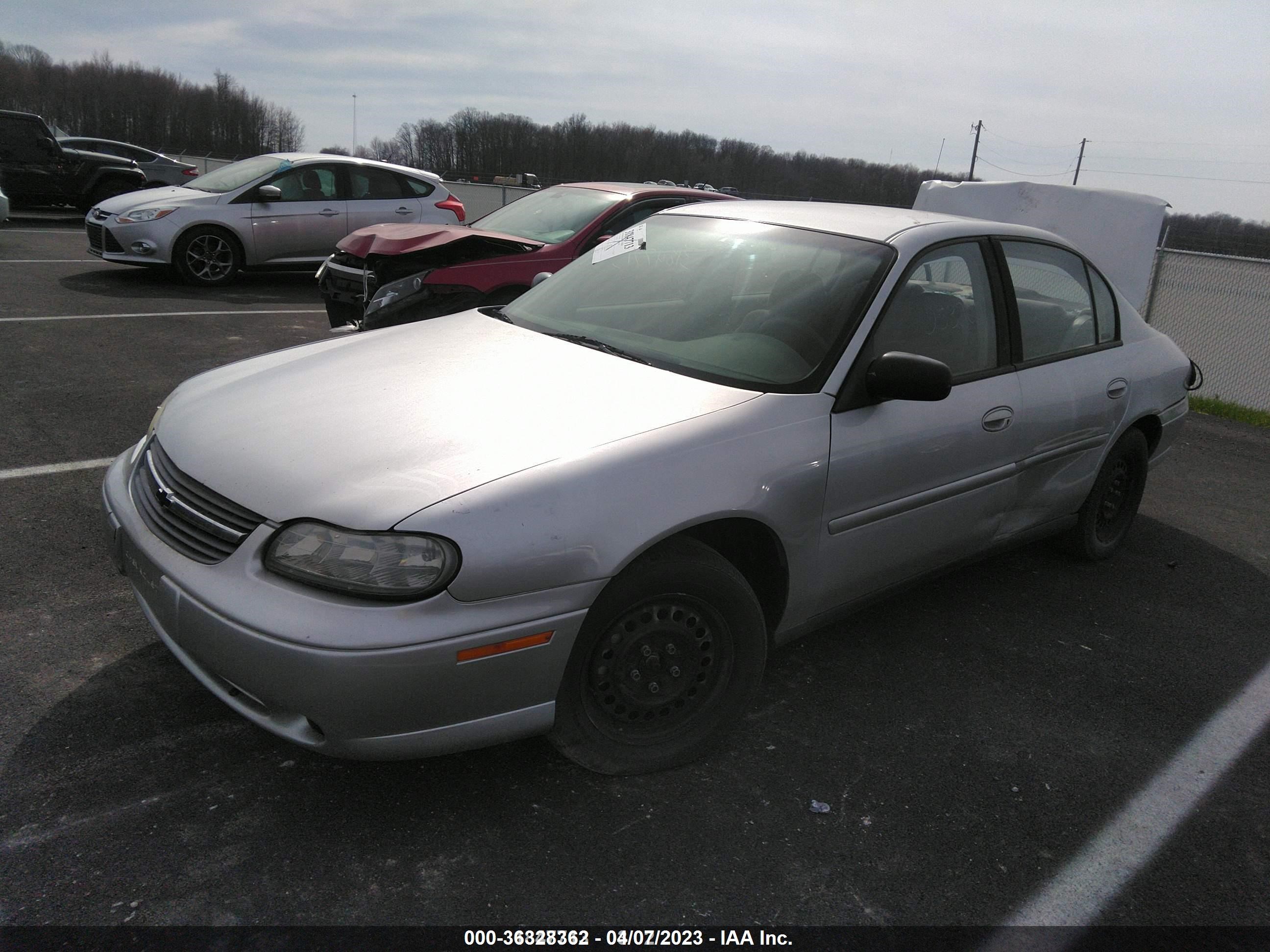 Photo 1 VIN: 1G1ND52JX2M507179 - CHEVROLET MALIBU 