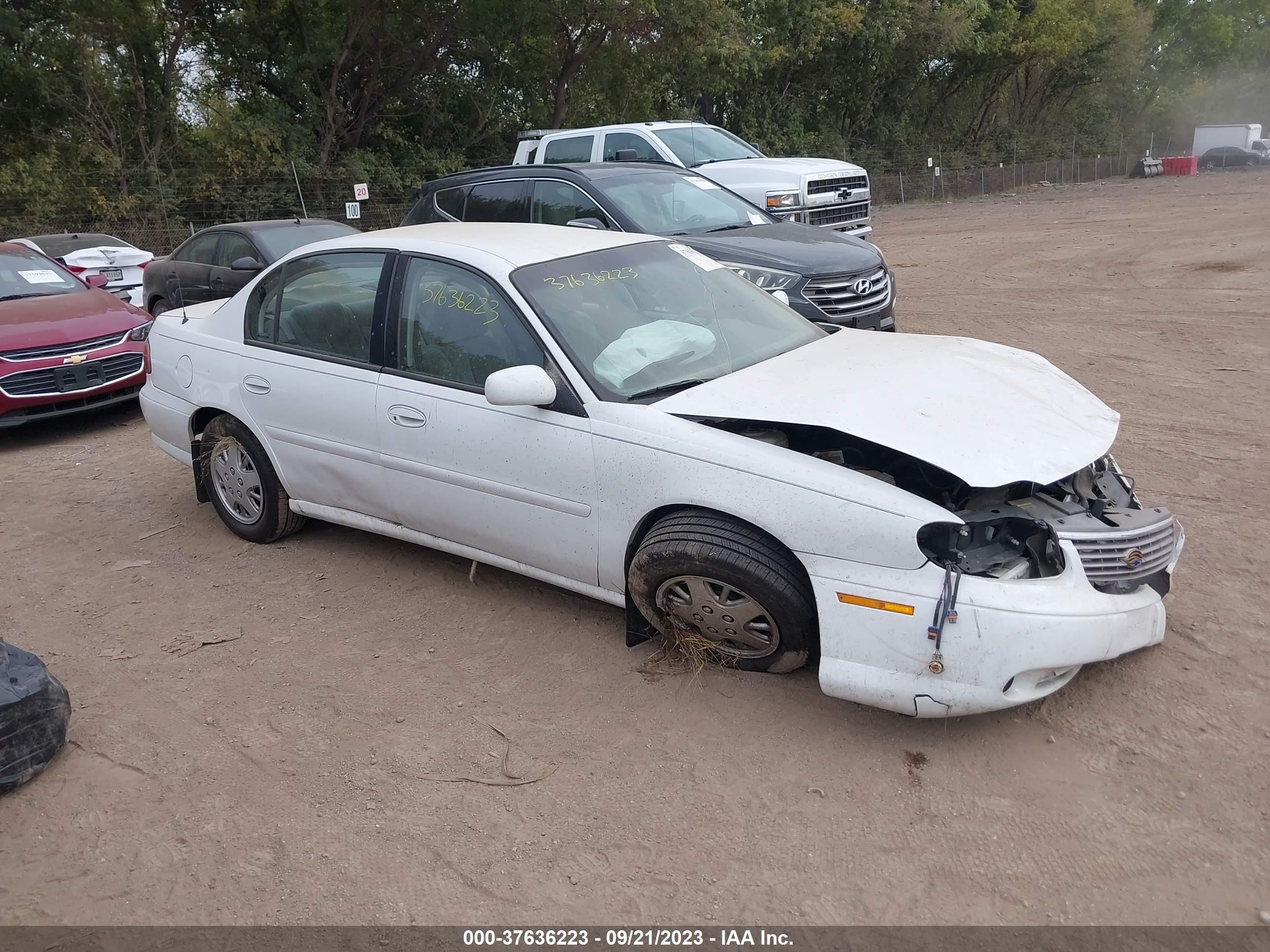 Photo 0 VIN: 1G1ND52T4XY116840 - CHEVROLET MALIBU 