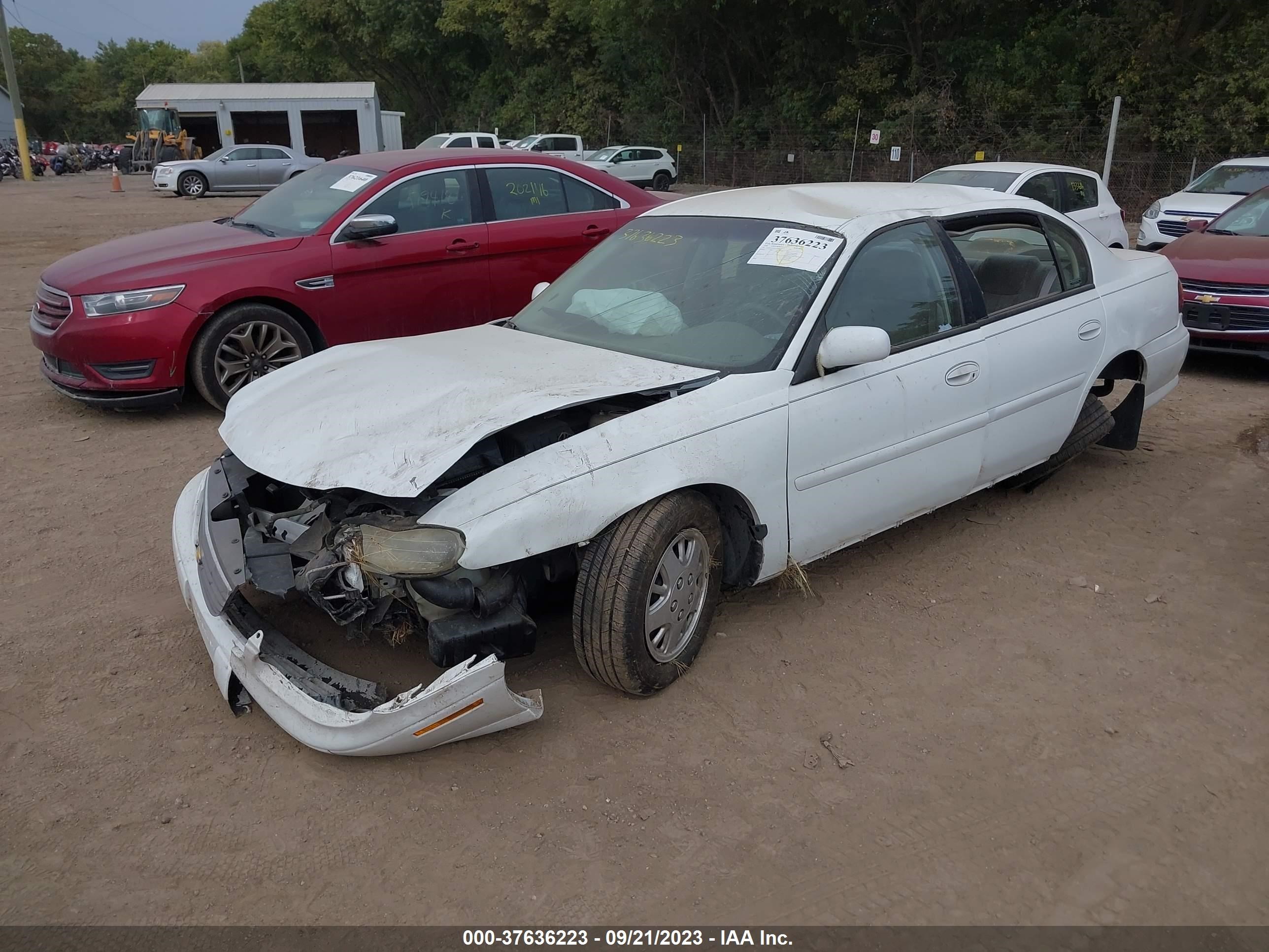 Photo 1 VIN: 1G1ND52T4XY116840 - CHEVROLET MALIBU 