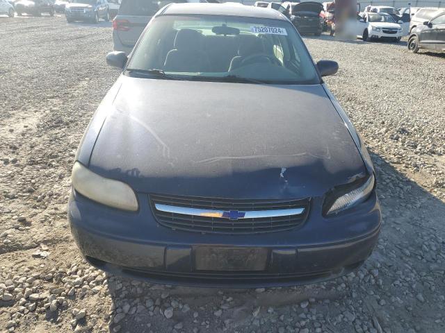 Photo 4 VIN: 1G1NE52J016182249 - CHEVROLET MALIBU LS 