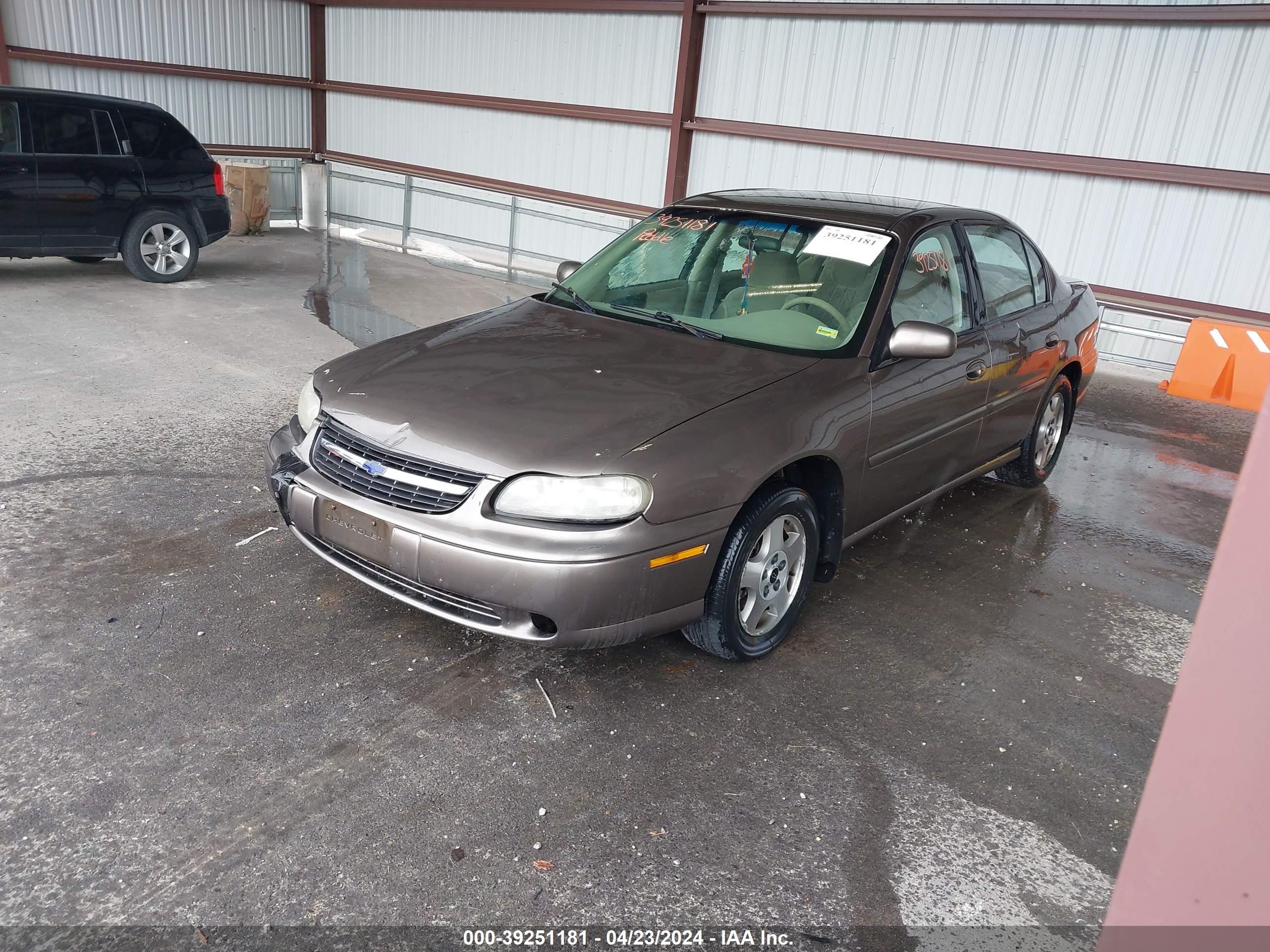 Photo 1 VIN: 1G1NE52J02M599044 - CHEVROLET MALIBU 