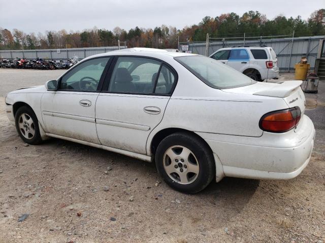 Photo 1 VIN: 1G1NE52J02M670047 - CHEVROLET MALIBU 