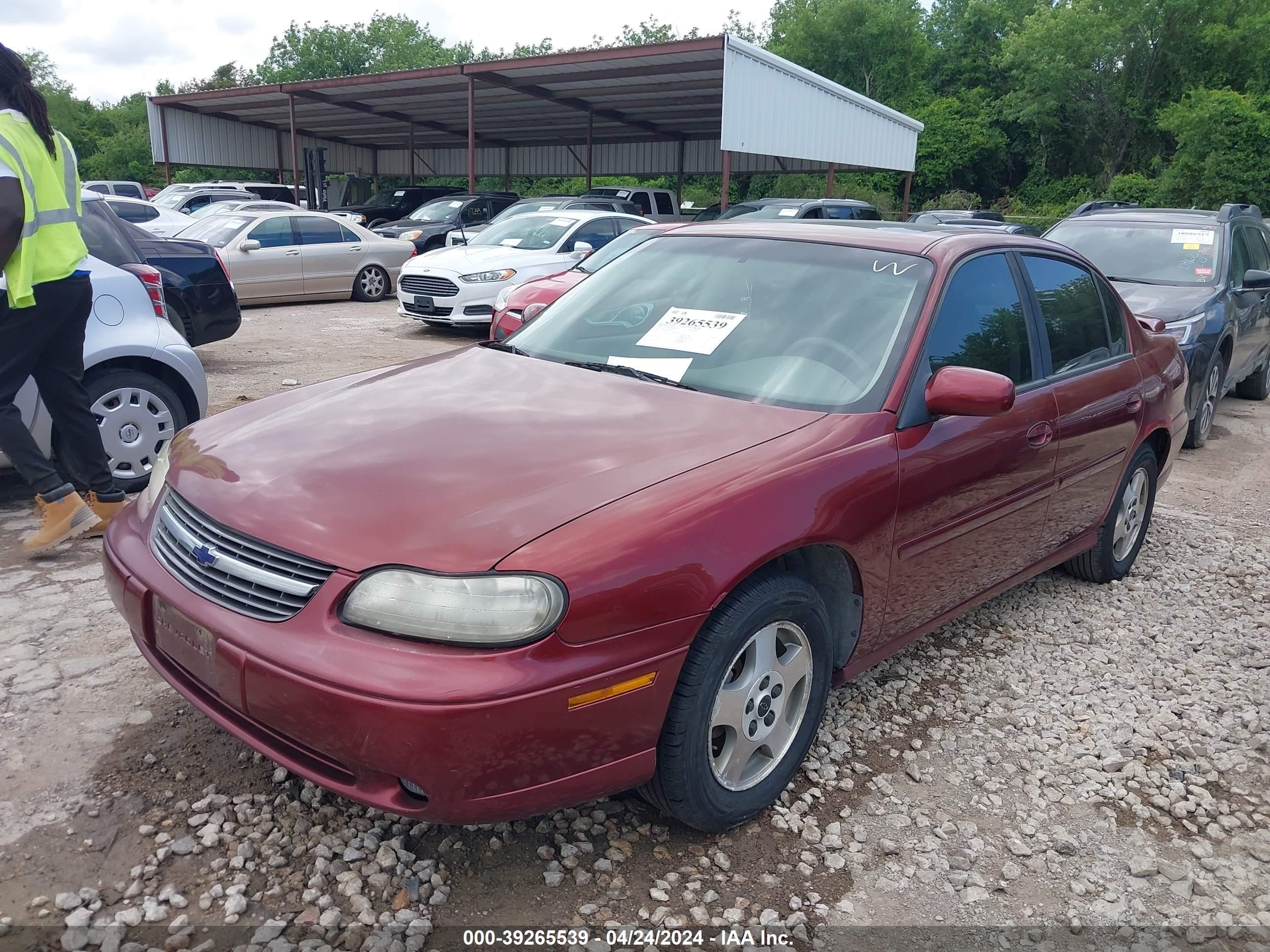 Photo 1 VIN: 1G1NE52J13M567513 - CHEVROLET MALIBU 