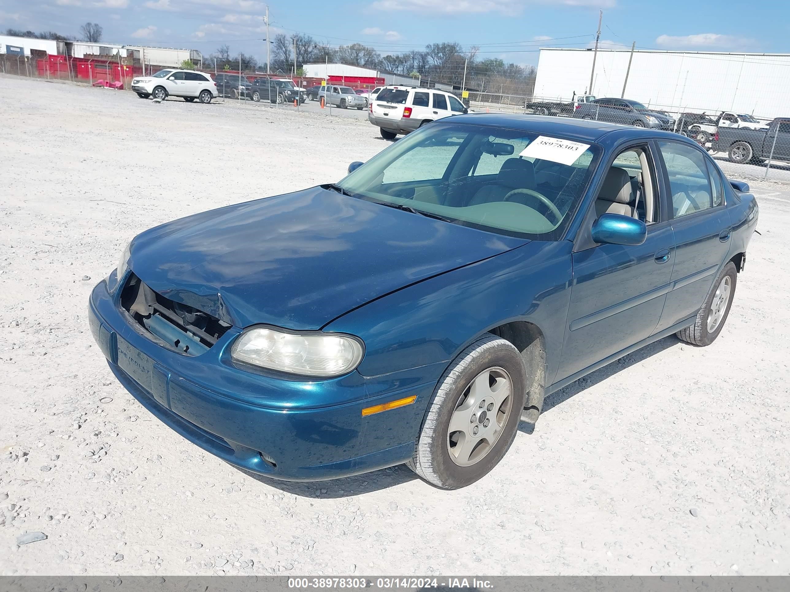 Photo 1 VIN: 1G1NE52J32M606505 - CHEVROLET MALIBU 