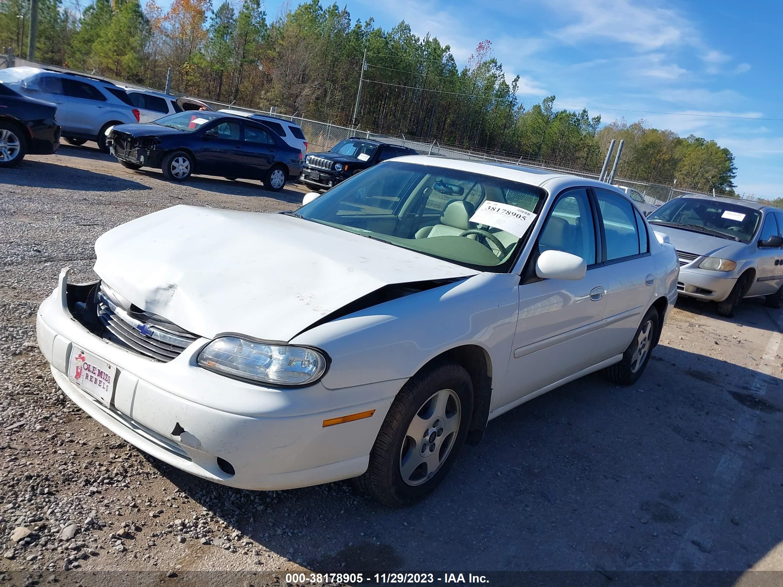 Photo 1 VIN: 1G1NE52J32M641125 - CHEVROLET MALIBU 