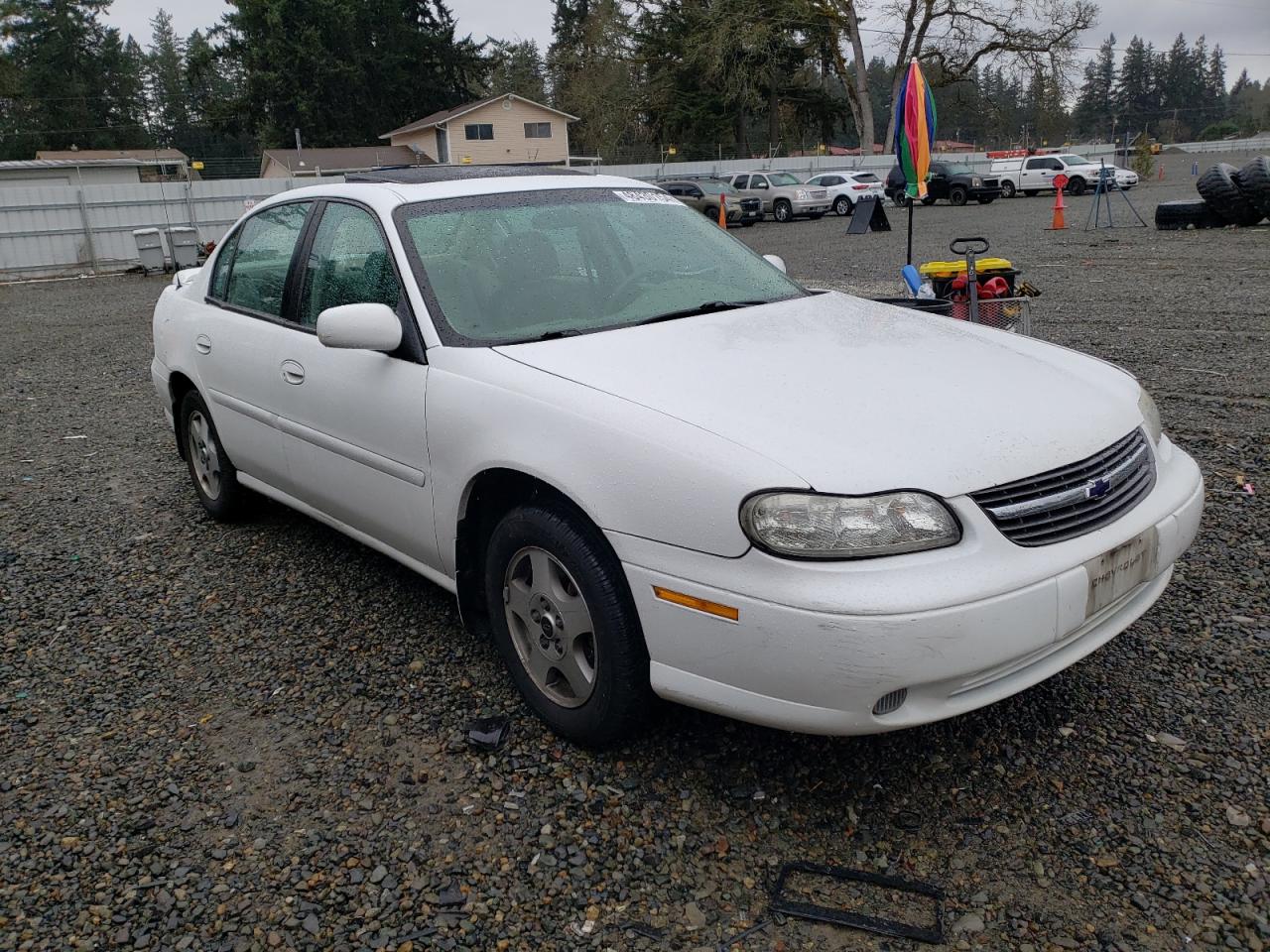 Photo 3 VIN: 1G1NE52J42M508616 - CHEVROLET MALIBU 