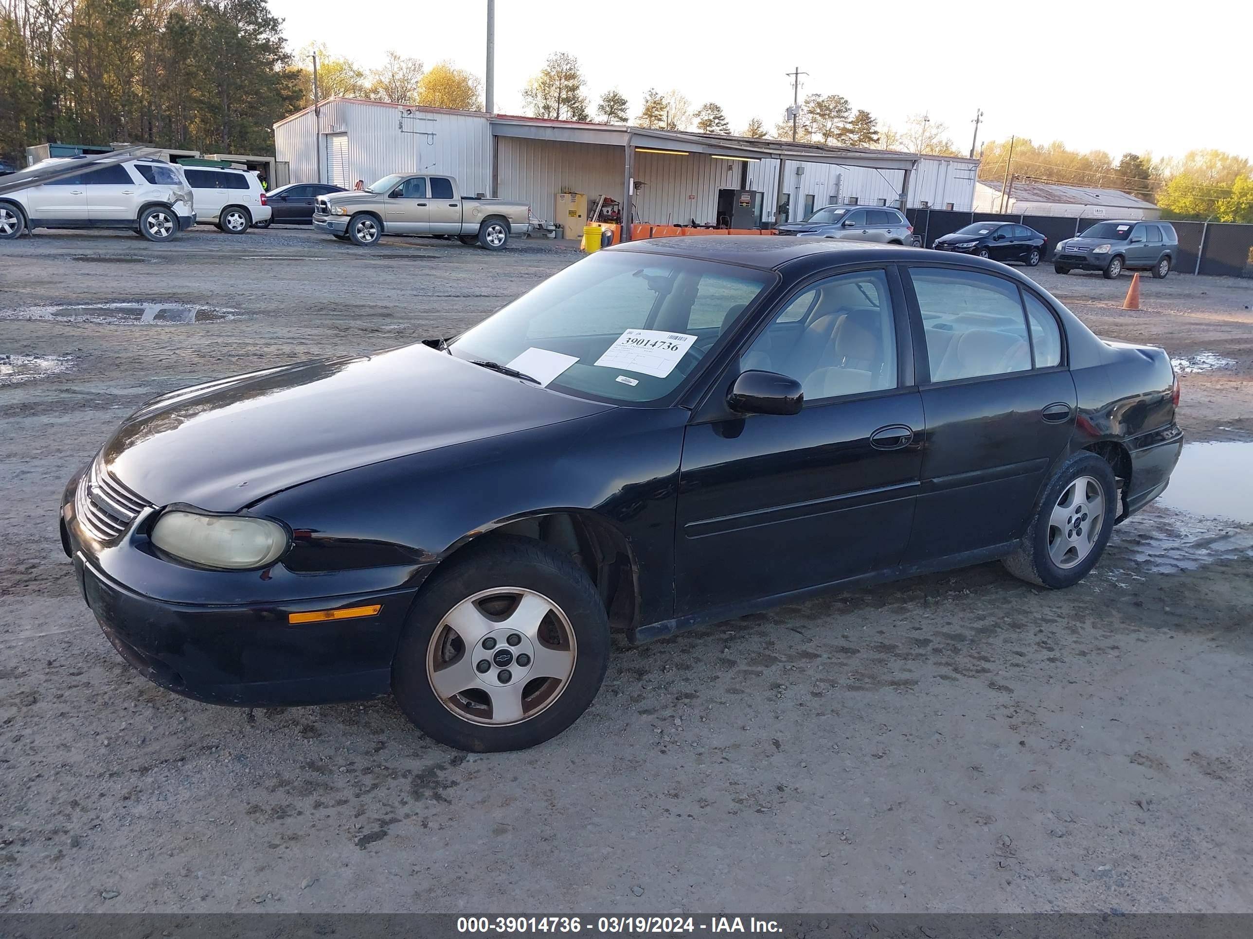 Photo 1 VIN: 1G1NE52J53M650670 - CHEVROLET MALIBU 